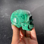Malachite Skull Collection