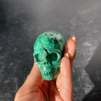 Malachite Skull Collection