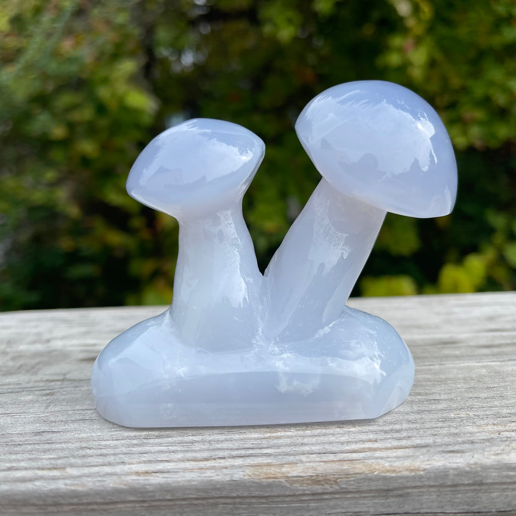 Blue Chalcedony Mushroom Collection