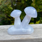 Blue Chalcedony Mushroom Collection