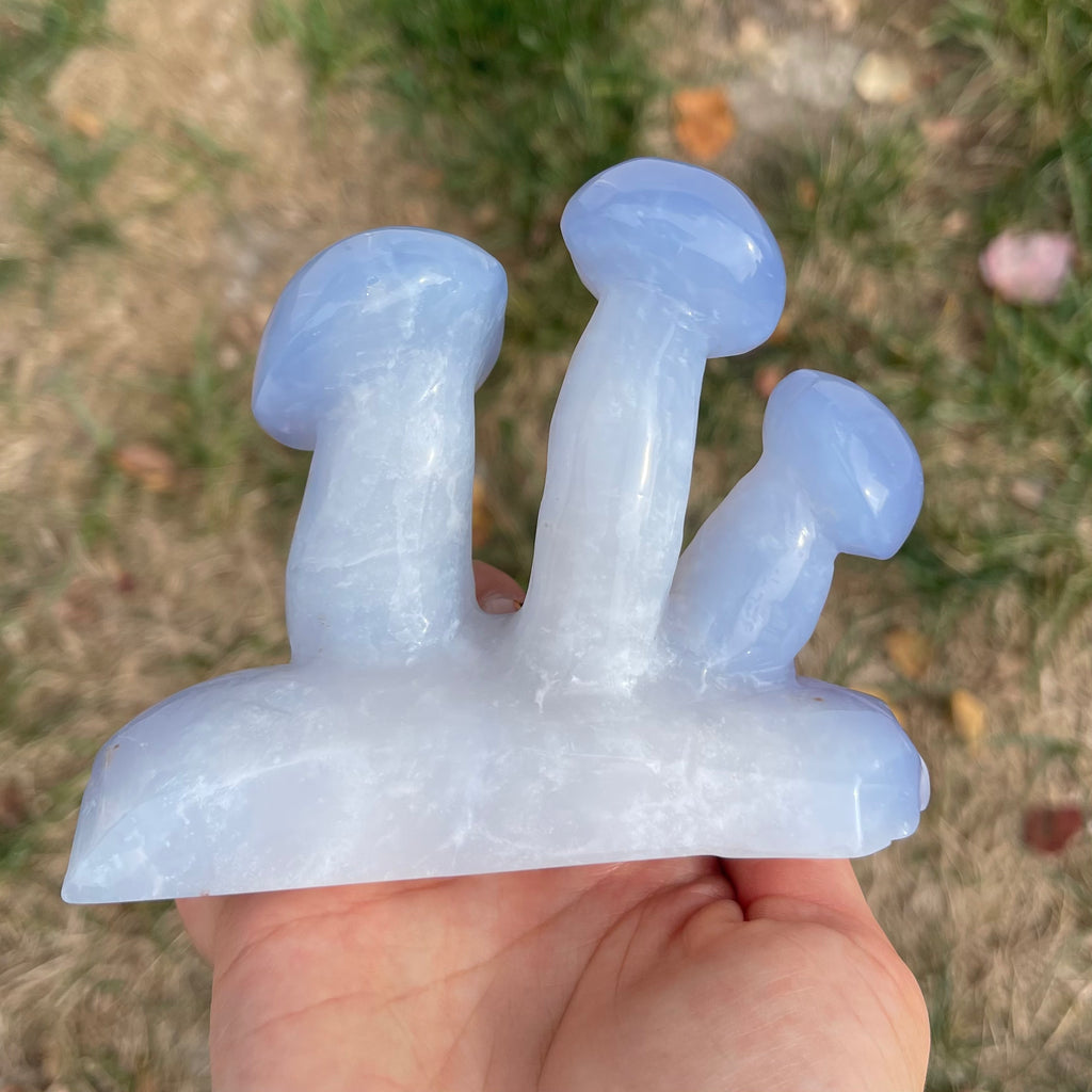 Blue Chalcedony Mushroom Collection