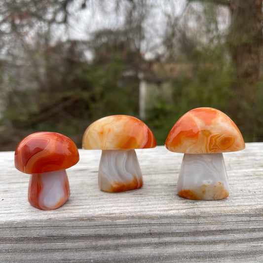 Carnelian Sardonyx Mushroom