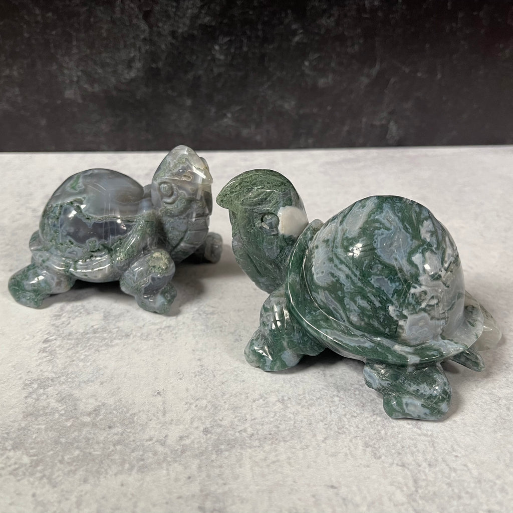 Large Moss Agate Turtle