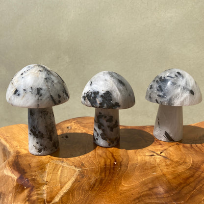 Black Tourmaline in Quartz Mushroom