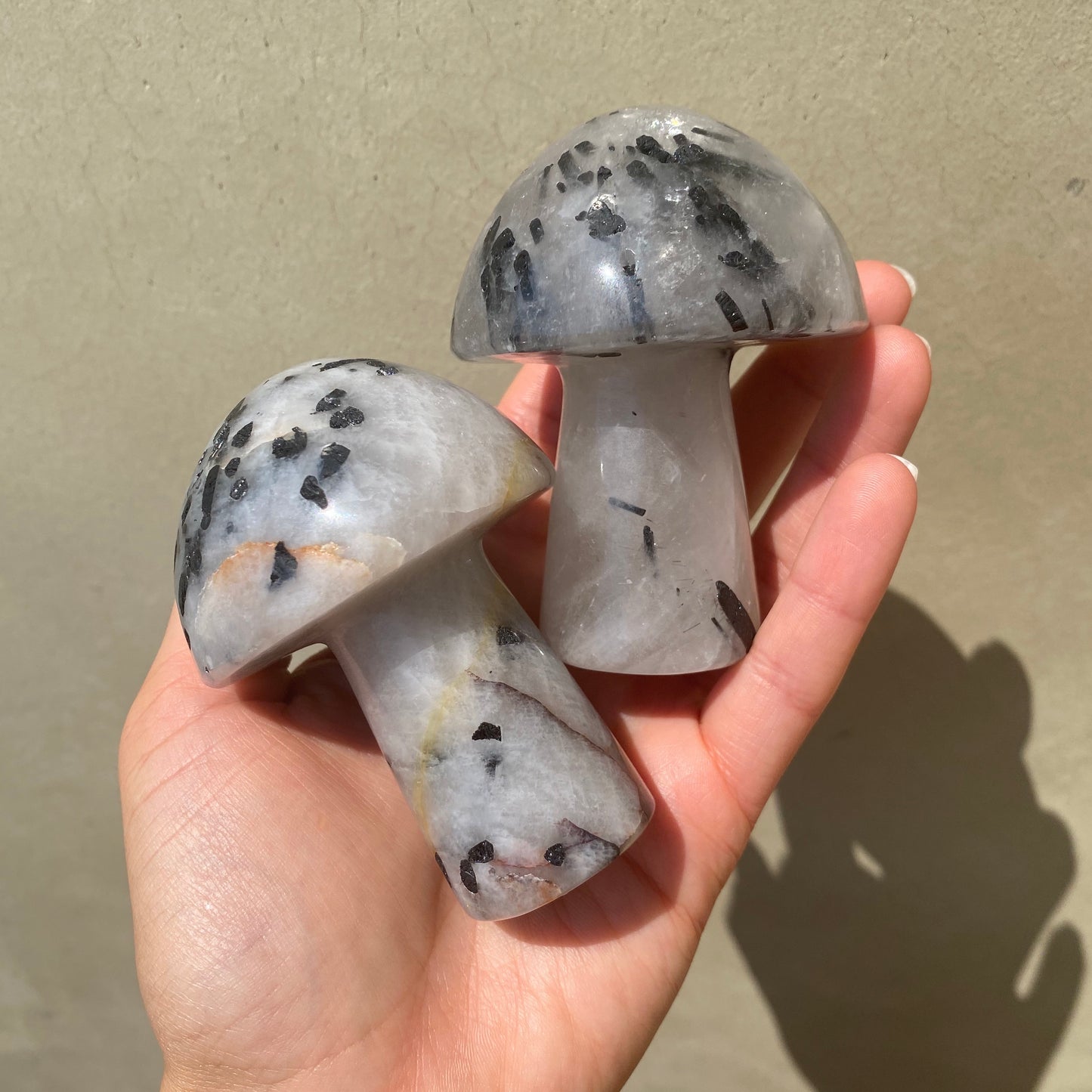 Black Tourmaline in Quartz Mushroom