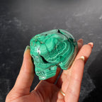 Malachite Skull Collection