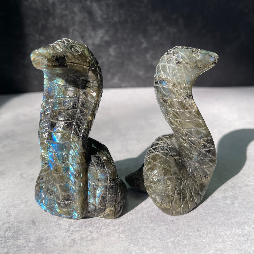 Crystal Cobra Snake