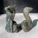 Crystal Cobra Snake