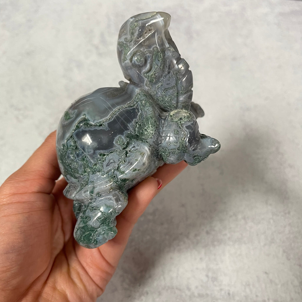 Large Moss Agate Turtle