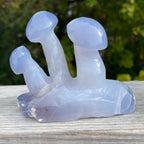 Blue Chalcedony Mushroom Collection