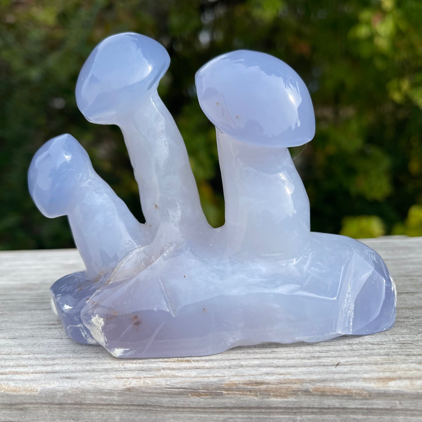 Blue Chalcedony Mushroom Collection