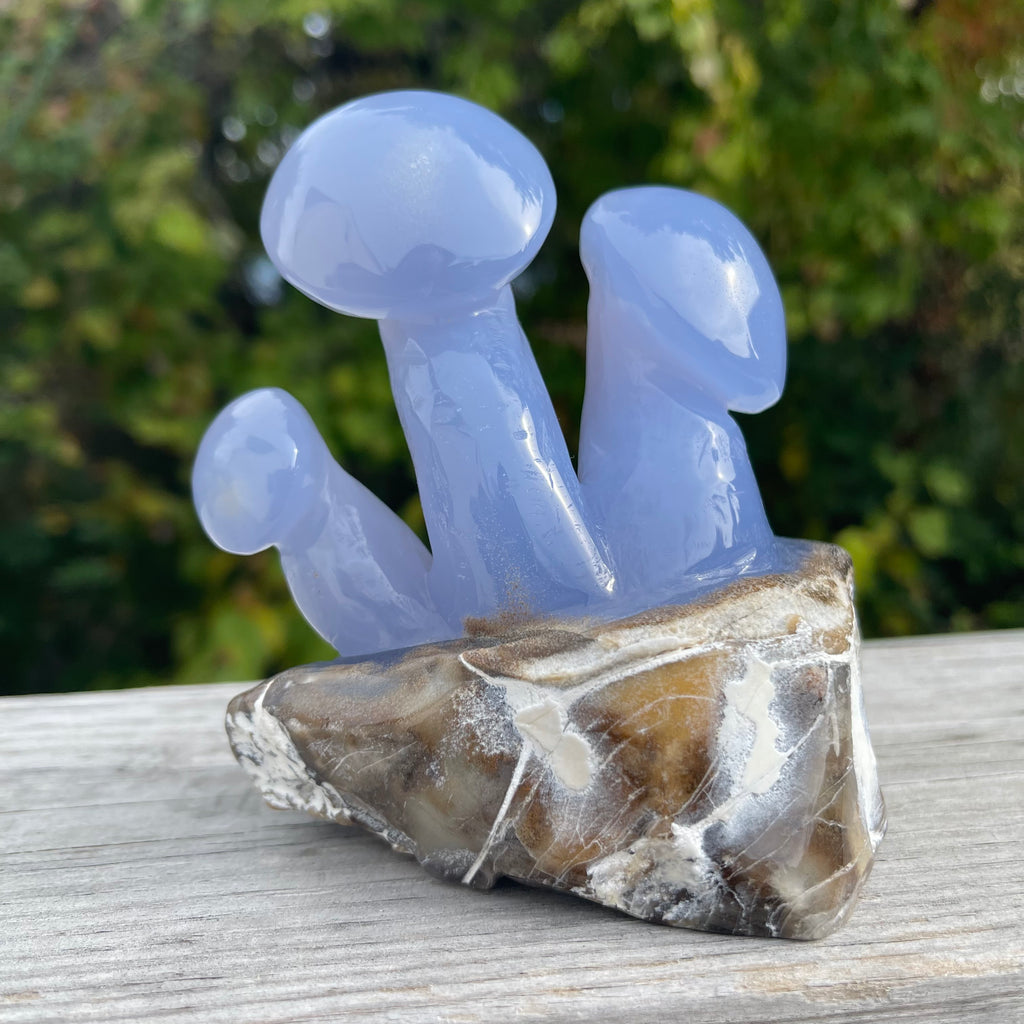 Blue Chalcedony Mushroom Collection