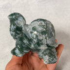 Large Moss Agate Turtle